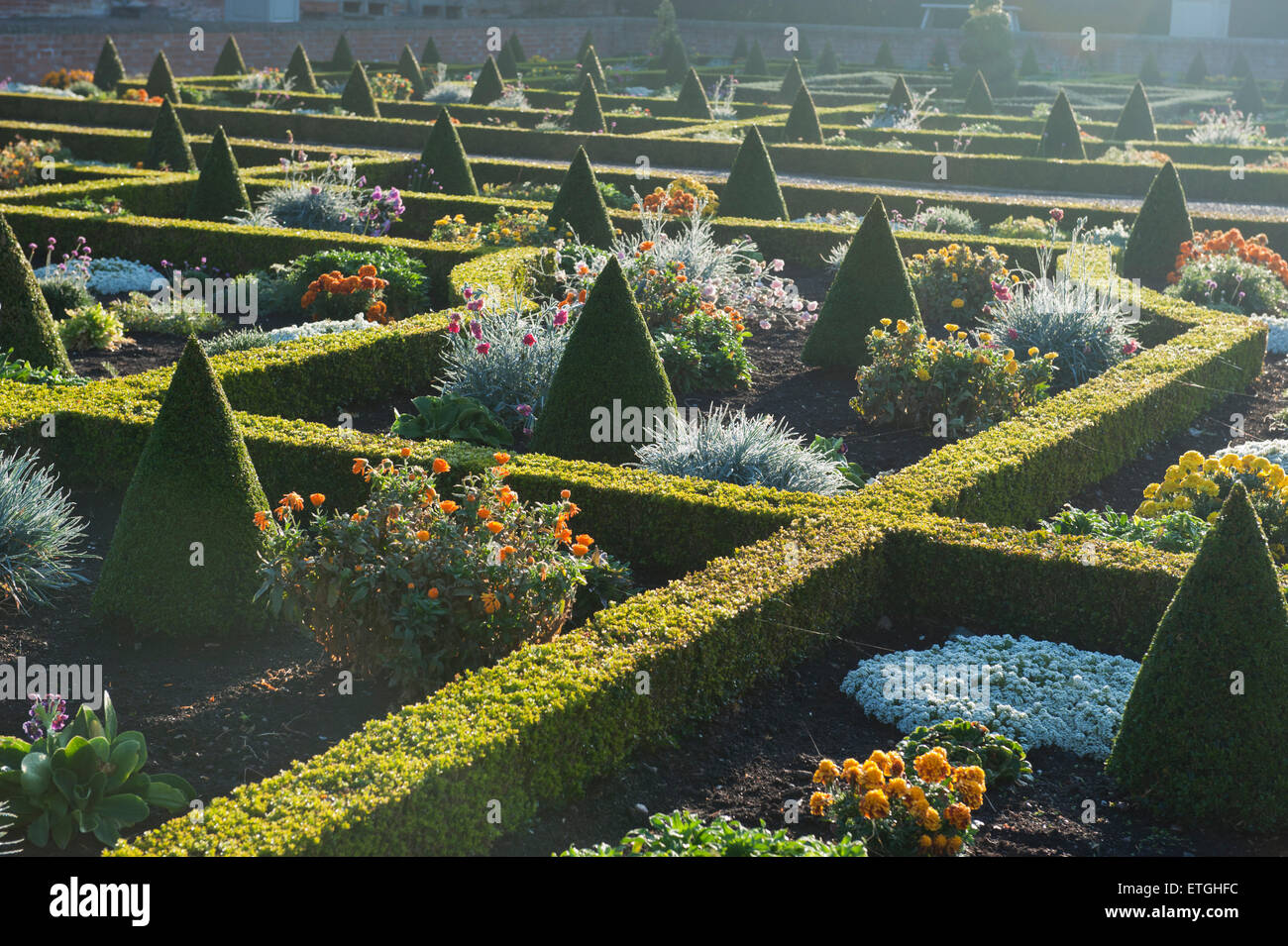 Formal garden in the morning England Europe Stock Photo