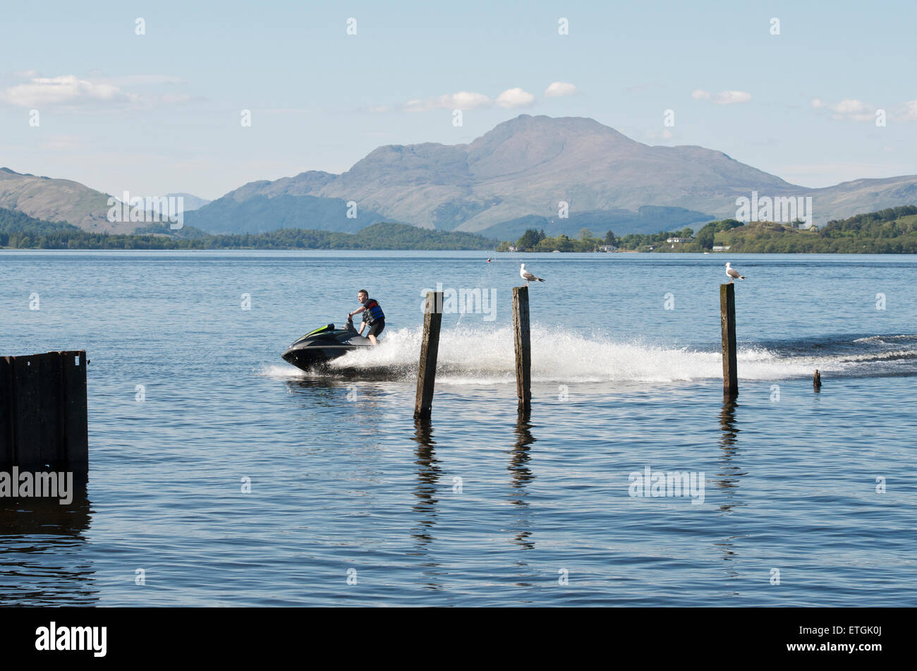 Gulls unperturbed by the disturbance as jet ski speeds past them on