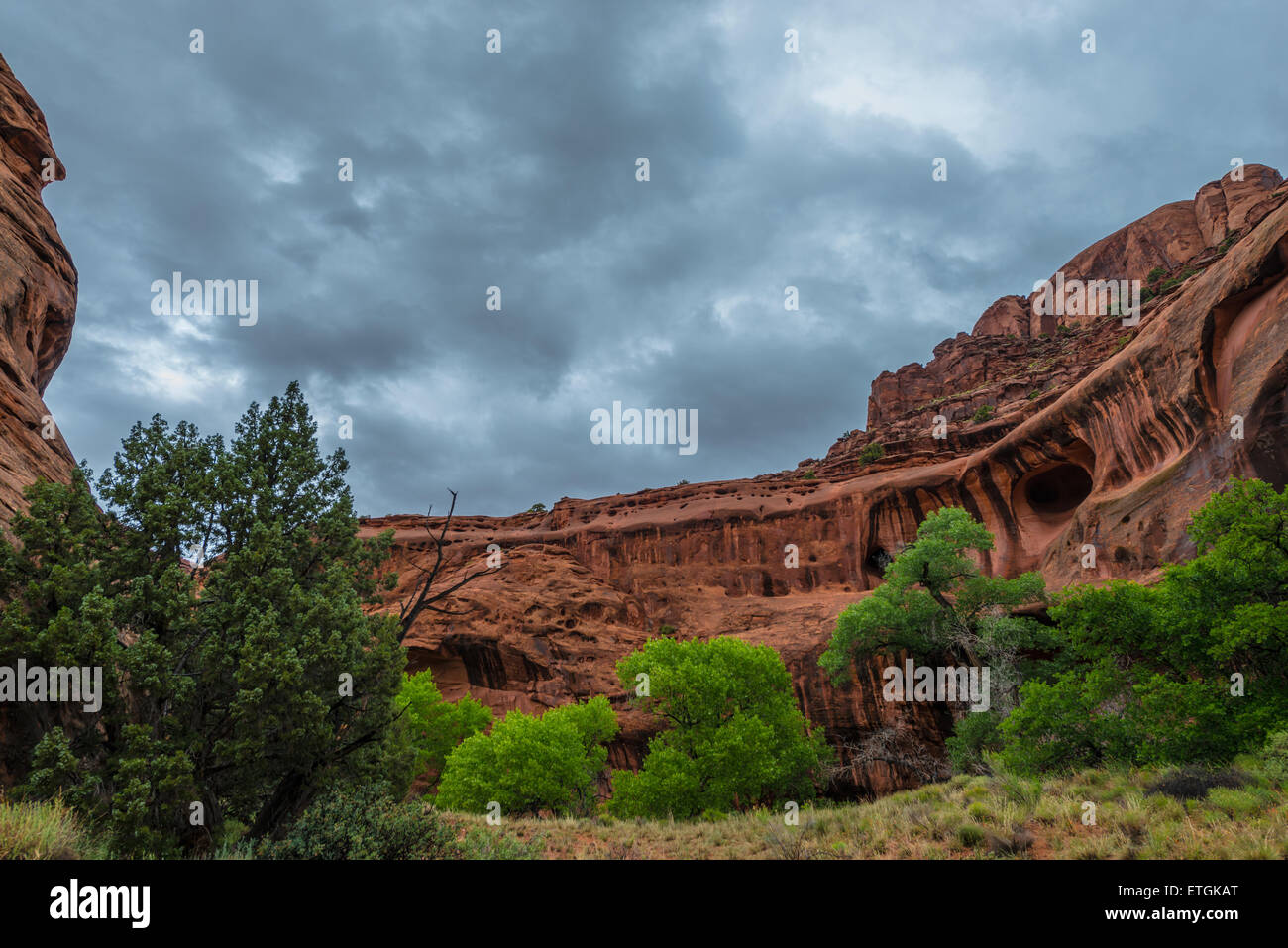 Neon Canyon after the rain storm Utah Landscape Stock Photo