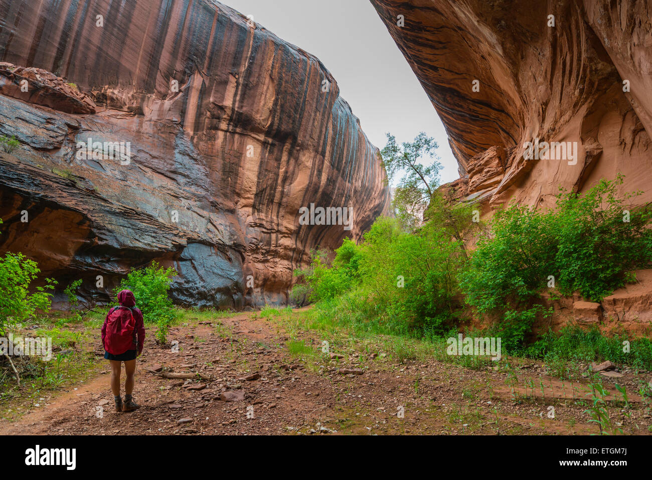 Hiking Neon Canyon to Golden Cathedral Escalante National Park Utah Stock Photo