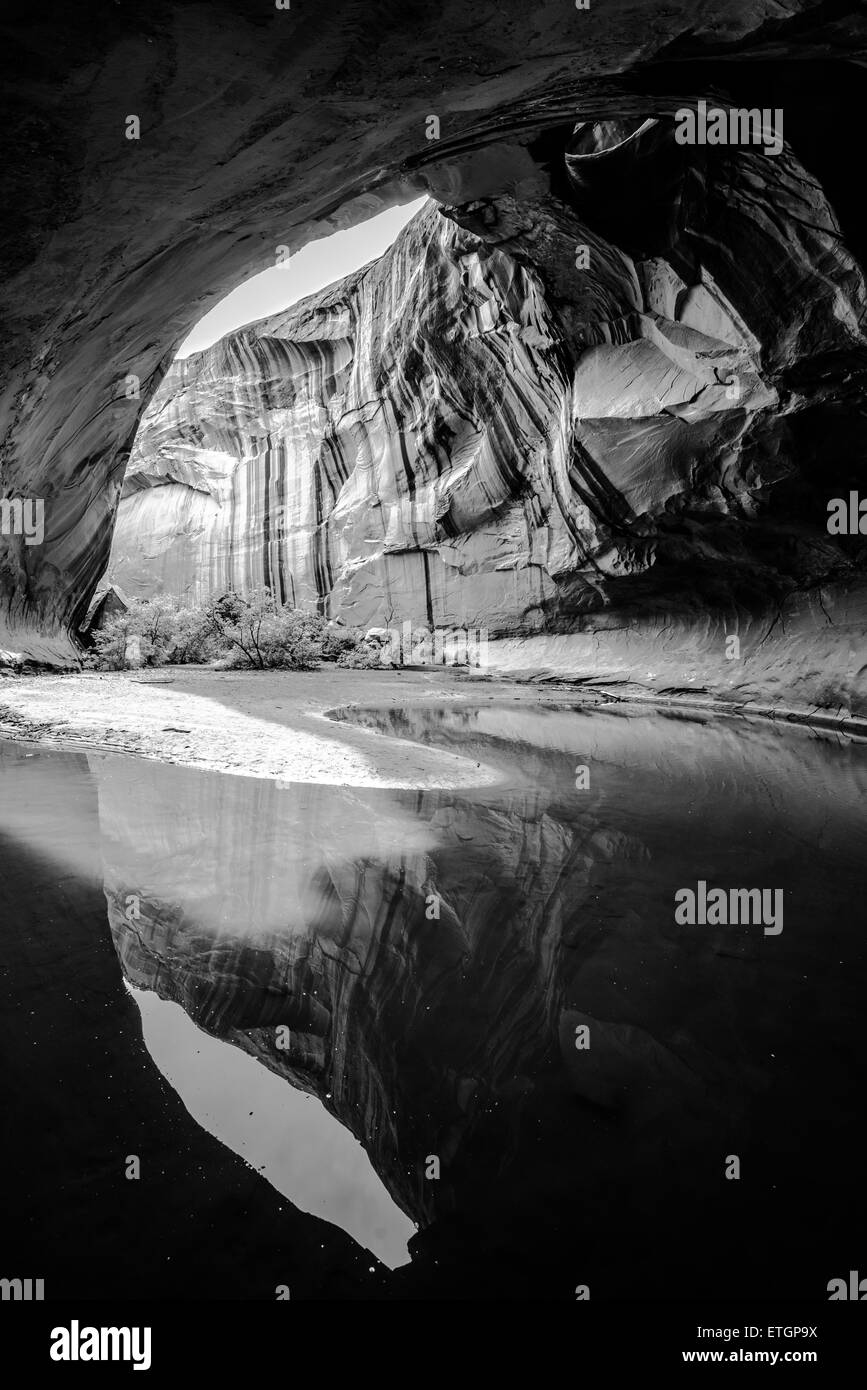 Wide angle,black and white, Vertical composition Golden Cathedral Neon Canyon Escalante National Park Utah Stock Photo