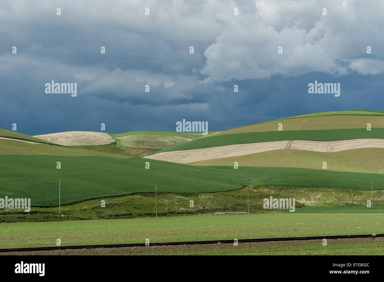 Rolling green farm fields with strip cropping Stock Photo Alamy