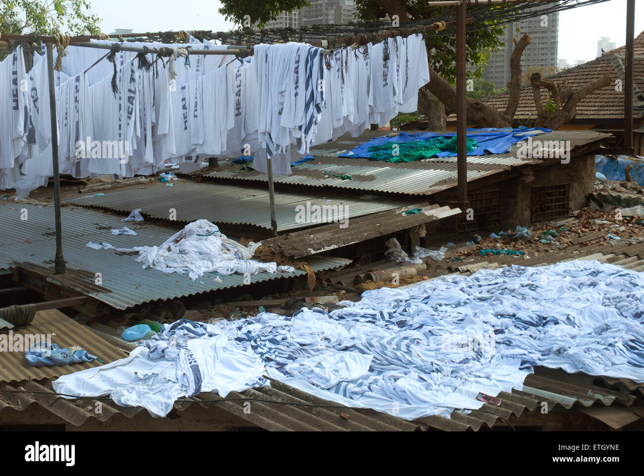 Washed clothes drying on the roofs of houses at Mahalaxmi Dhobi Ghat open air laundromat, Mumbai, Maharashtra, India. Stock Photo