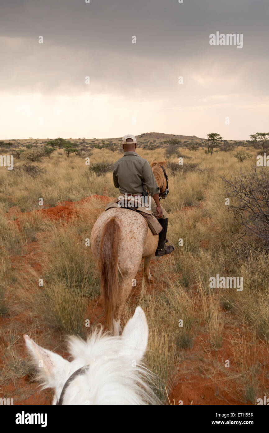 Horse riding at Tswalu, South Africa Stock Photo Alamy