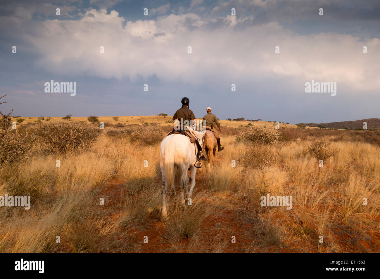 Horse riding at Tswalu, South Africa Stock Photo Alamy