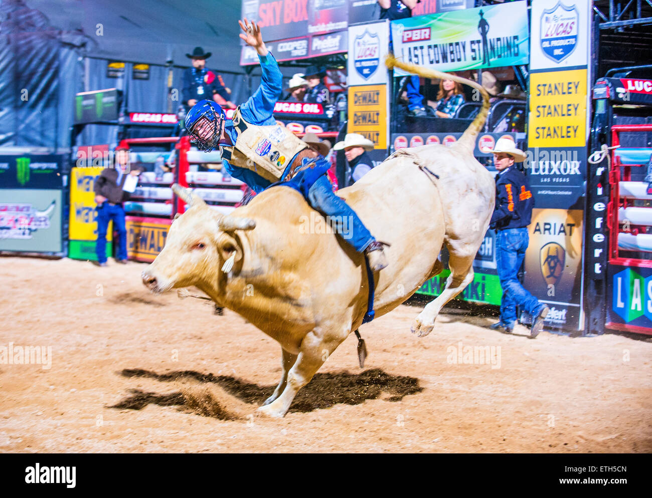 Cowboy Participating in a Bull riding Competition at the Las Cowboy ...
