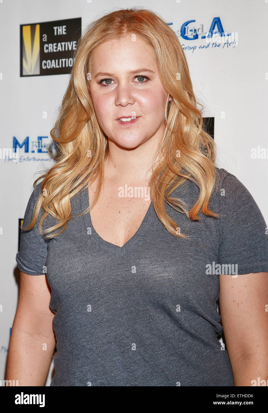 New York premiere party of 'Cop Show' at Caroline's On Broadway Comedy Club - Arrivals  Featuring: Amy Schumer Where: New York, New York, United States When: 23 Feb 2015 Credit: Joseph Marzullo/WENN.com Stock Photo