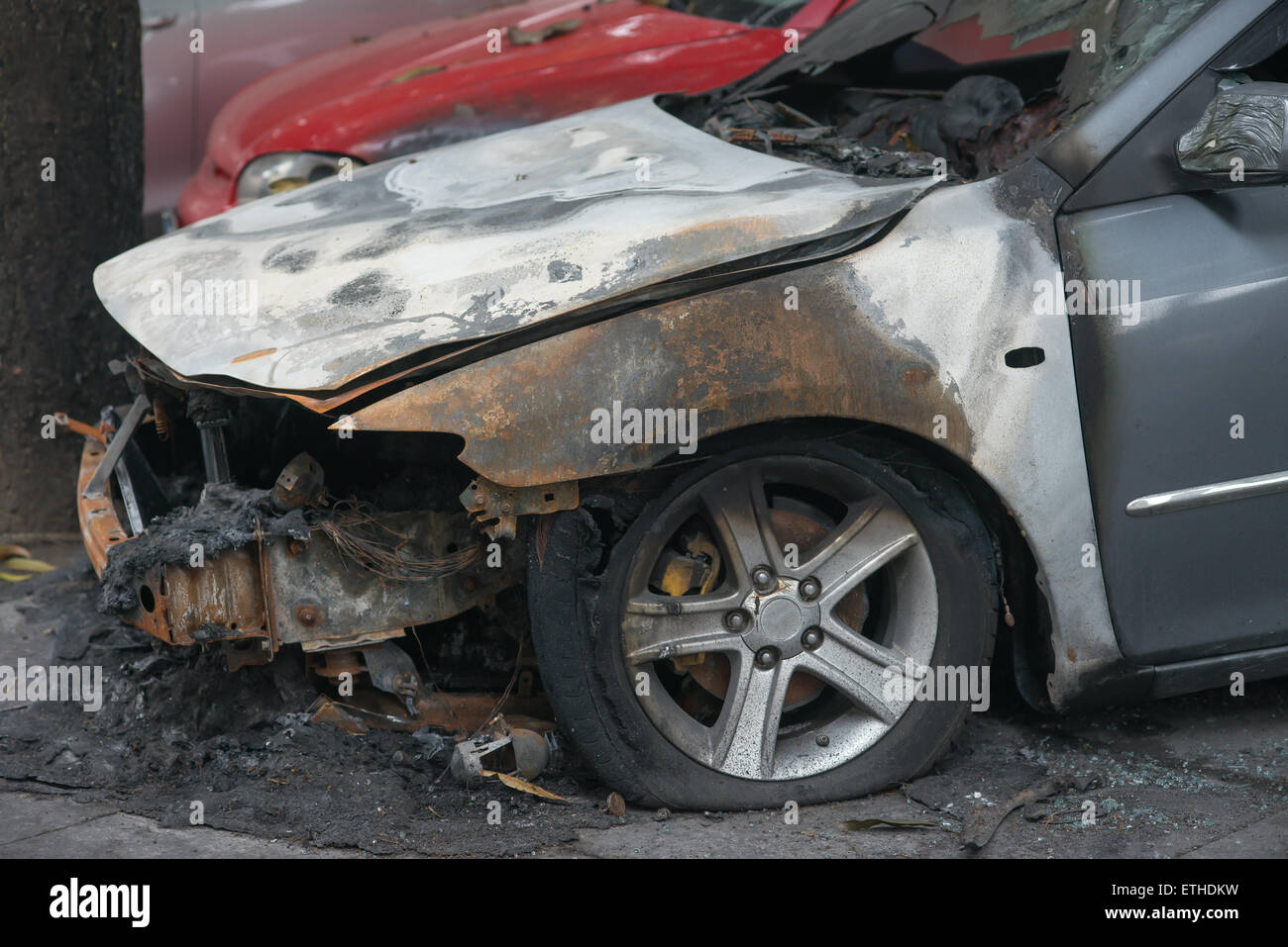 side of a burnt out car in an outdoor park Stock Photo