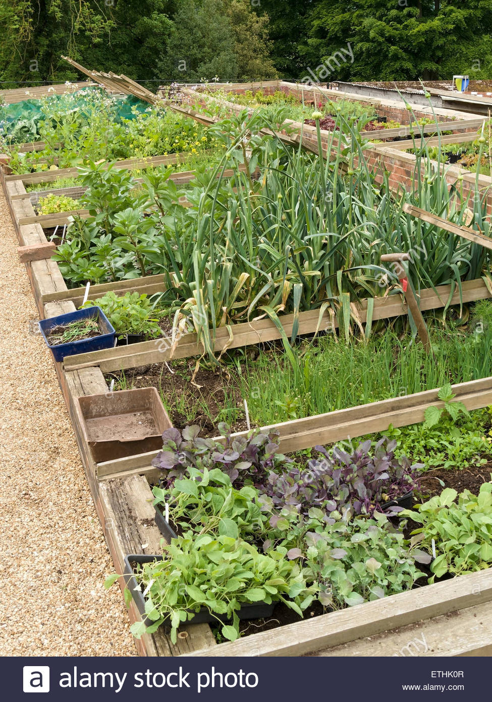 Raised Vegetable Beds High Resolution Stock Photography and Images Alamy