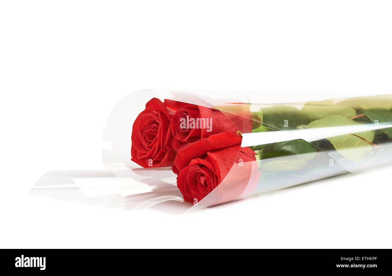 Wrapping plant hi-res stock photography and images - Alamy