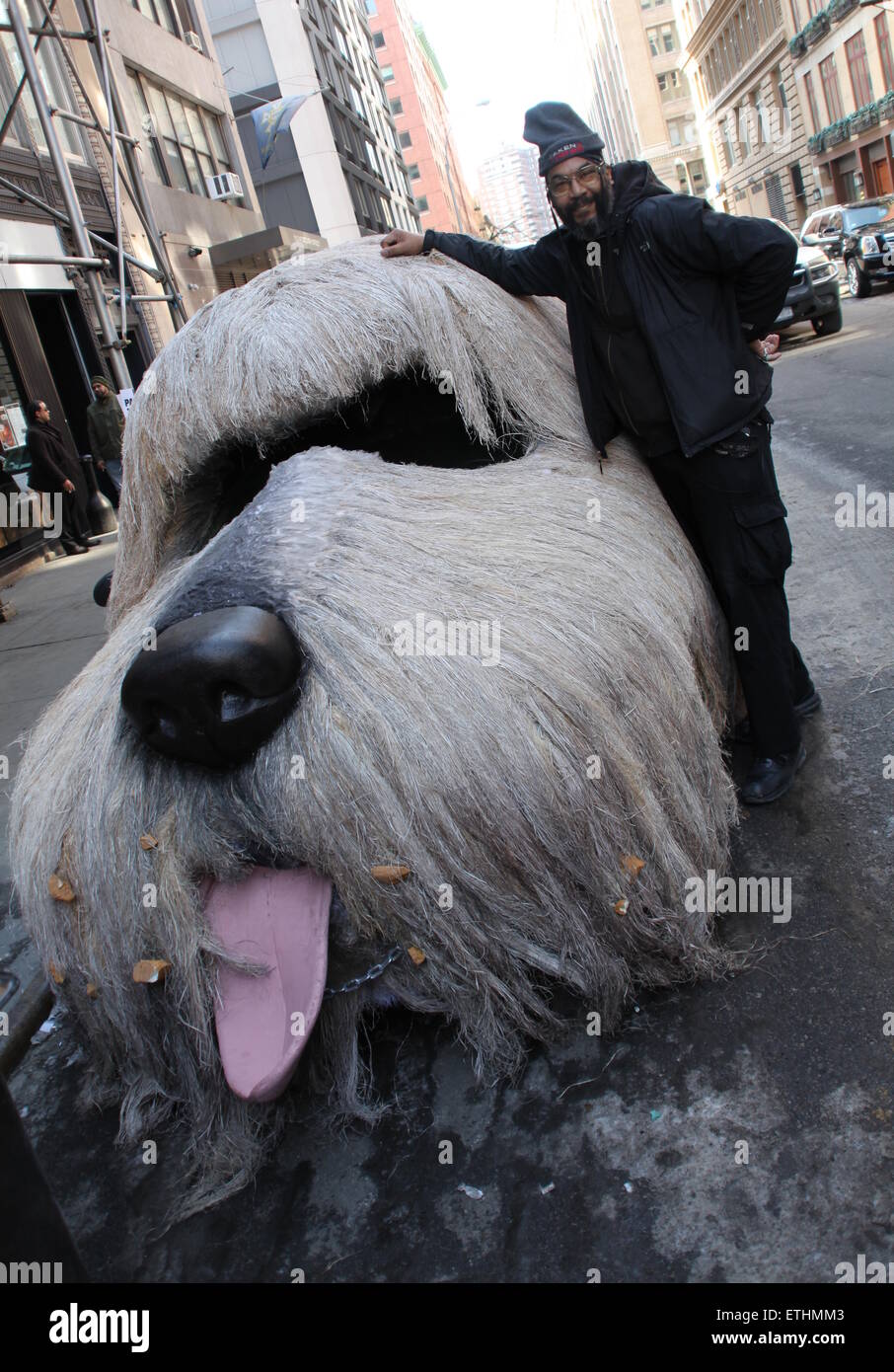 febreze dog car