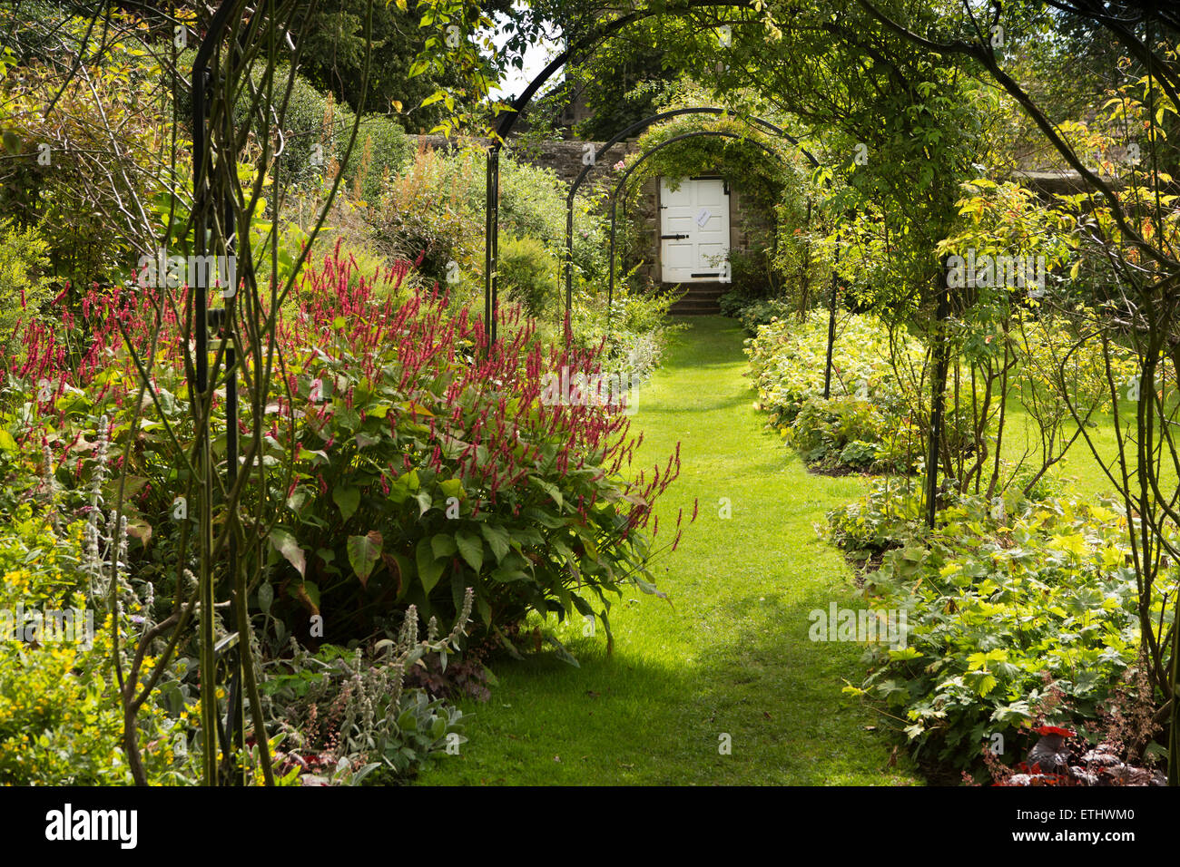 UK, England, Derbyshire, Eyam Hall garden, shady arbour leading to churchyard gate Stock Photo