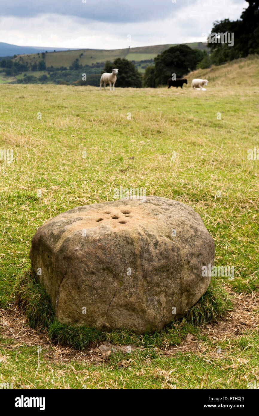 UK, England, Derbyshire, Eyam, Boundary Stone above Stoney Middleton, with holes for plague villager’s money Stock Photo