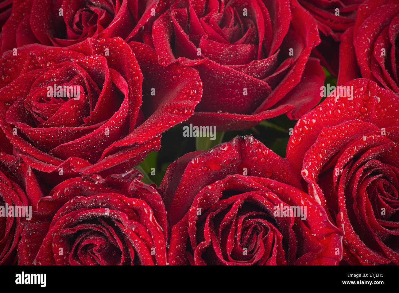 Red Rose Flower Bouquet Hi Res Stock Photography And Images Page 3 Alamy