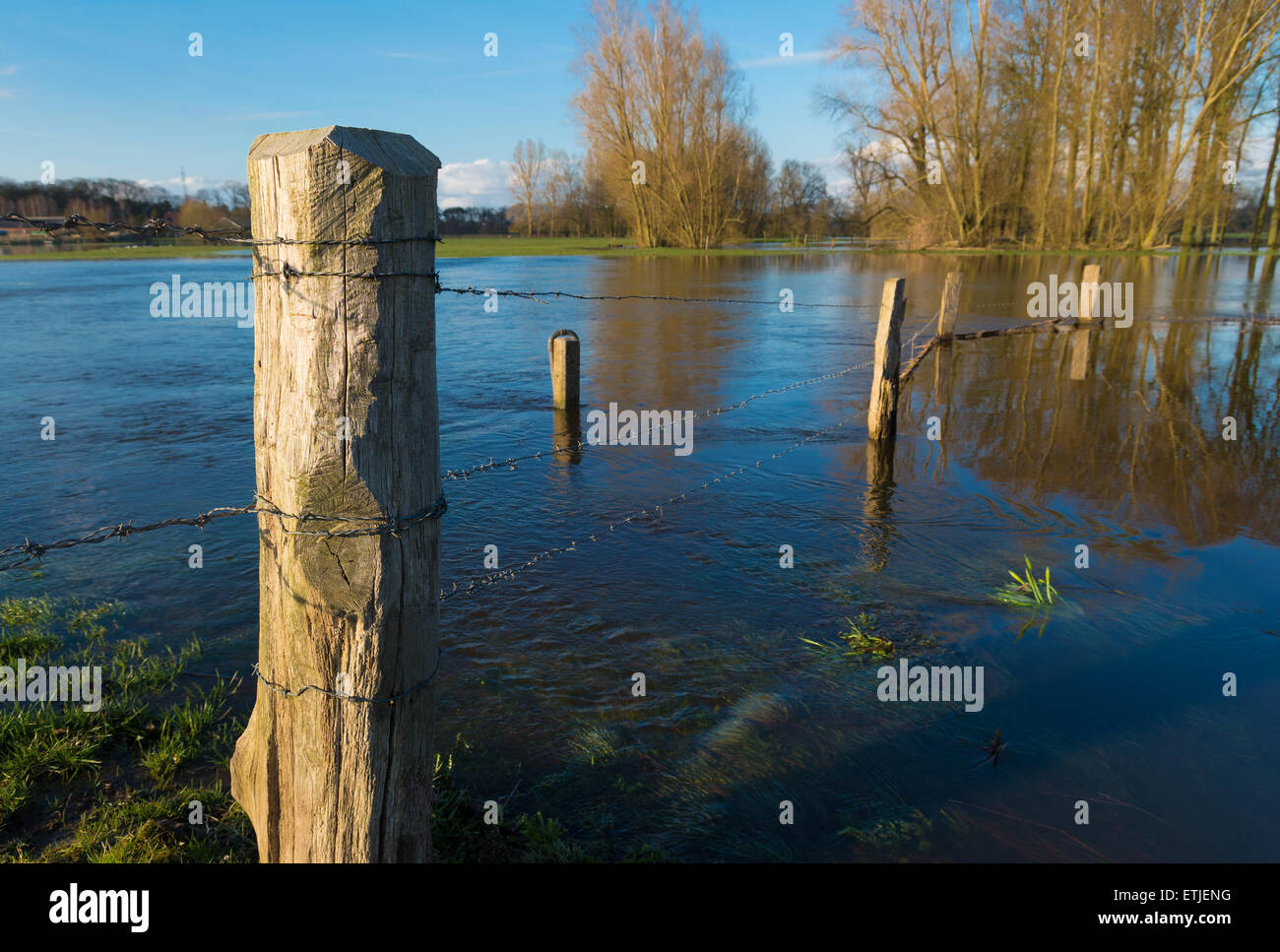 floodplains of a small river in the netherlands Stock Photo