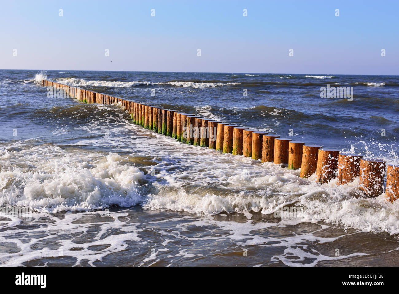 Wooden wave breakers on a coast of Baltic Sea. Stock Photo