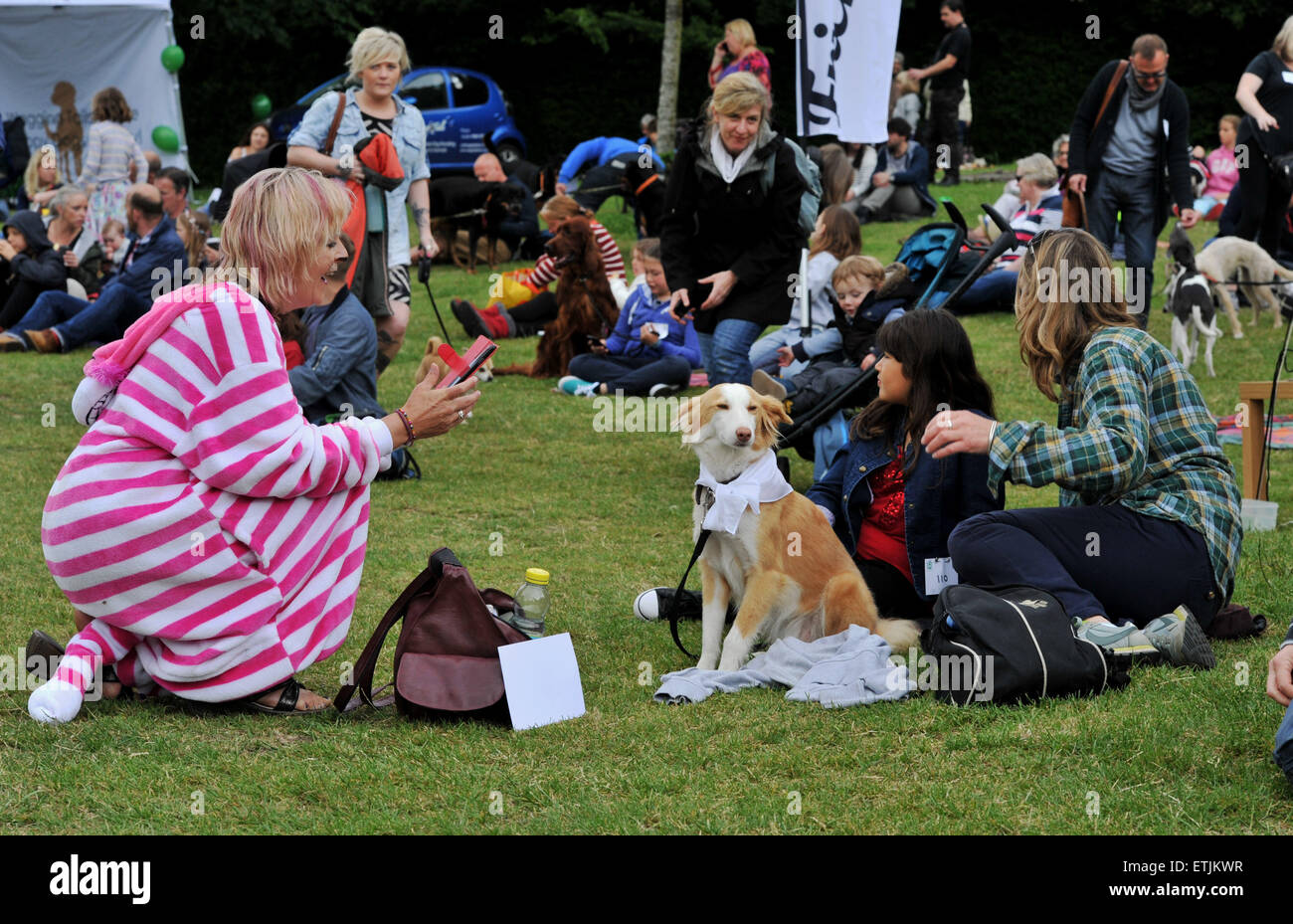 Brighton, UK. 14th June, 2015. Time to pose for a photograph at the annual Bark in the Park Dog Show held at Queens Park in Brighton Stock Photo