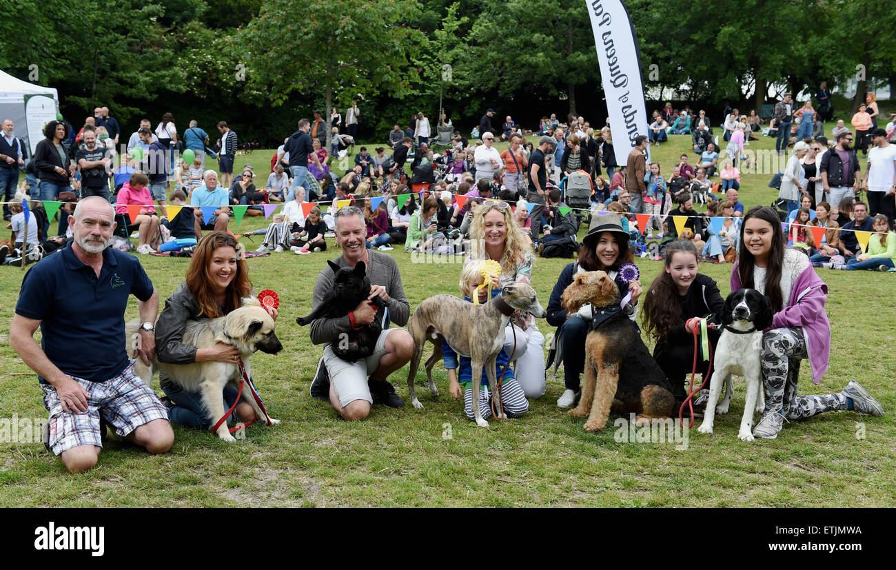 Brighton, UK. 14th June, 2015. Prize winners in the Handsomest Dog category at the annual Bark in the Park Dog Show held at Queens Park in Brighton Stock Photo