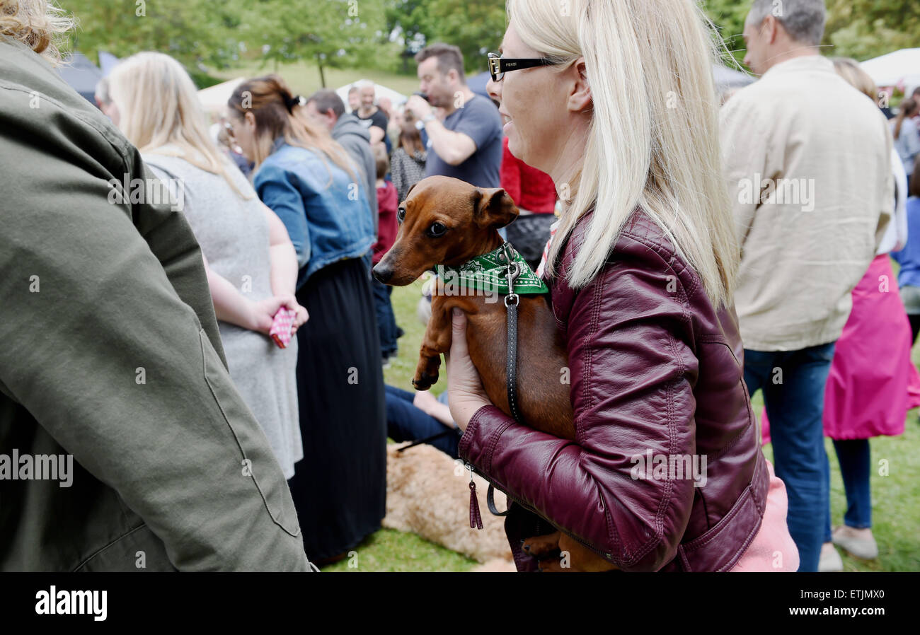 Brighton, UK. 14th June, 2015. This dog wanted to be carried at the