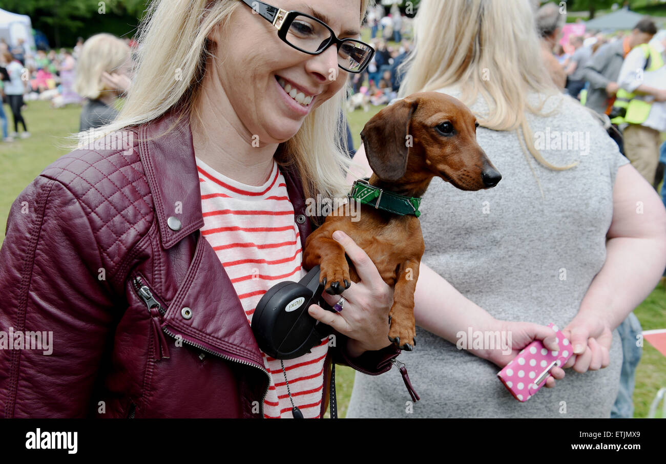 Brighton, UK. 14th June, 2015. This dog wanted to be carried at the