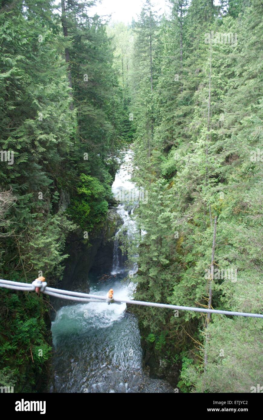 lynn canyon from bridge Stock Photo - Alamy