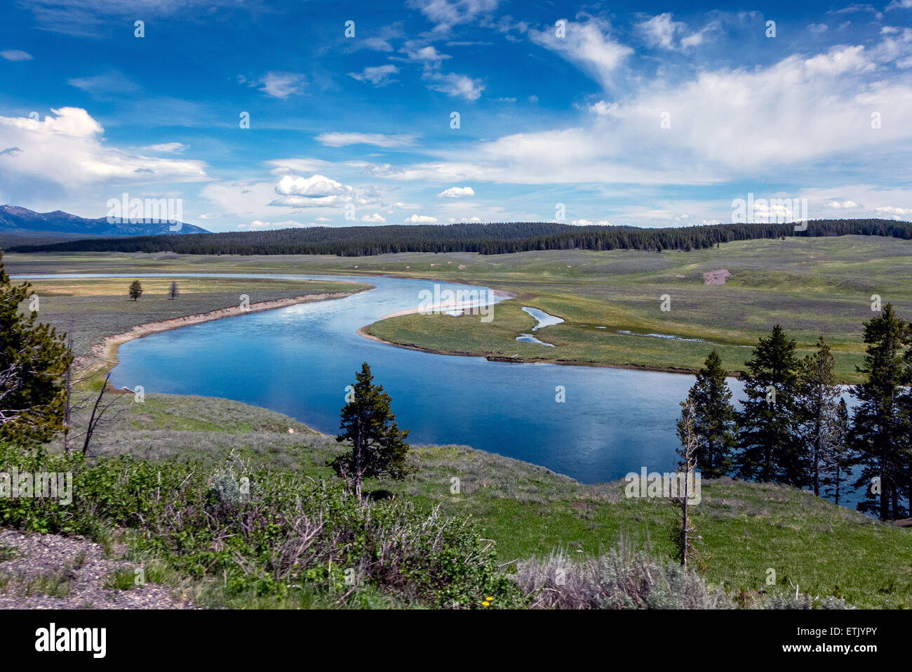 A river winding its way through the Yellowstone National Park Stock Photo
