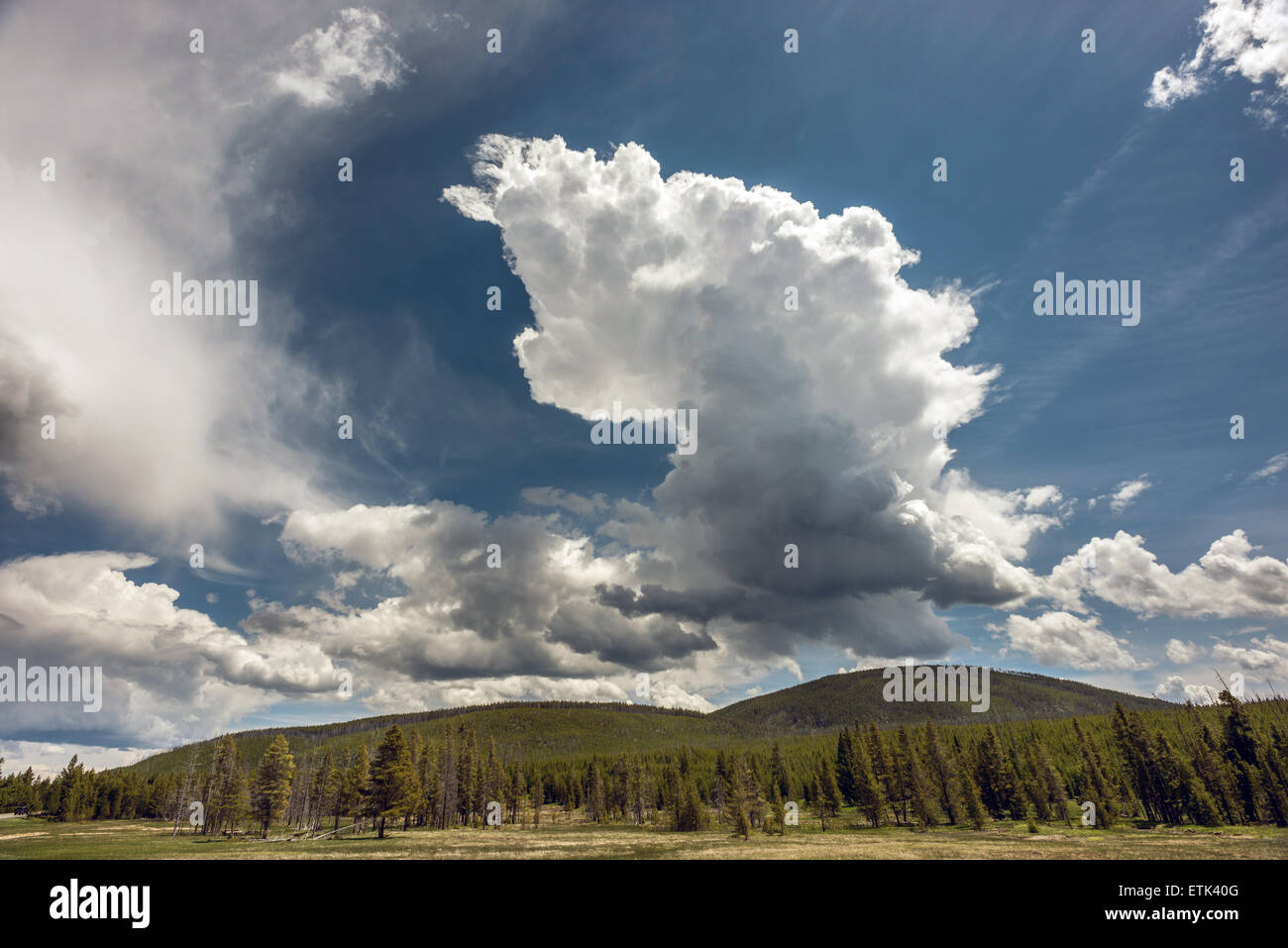 Big sky landscape in Yellowstone National Park USA Stock Photo Alamy