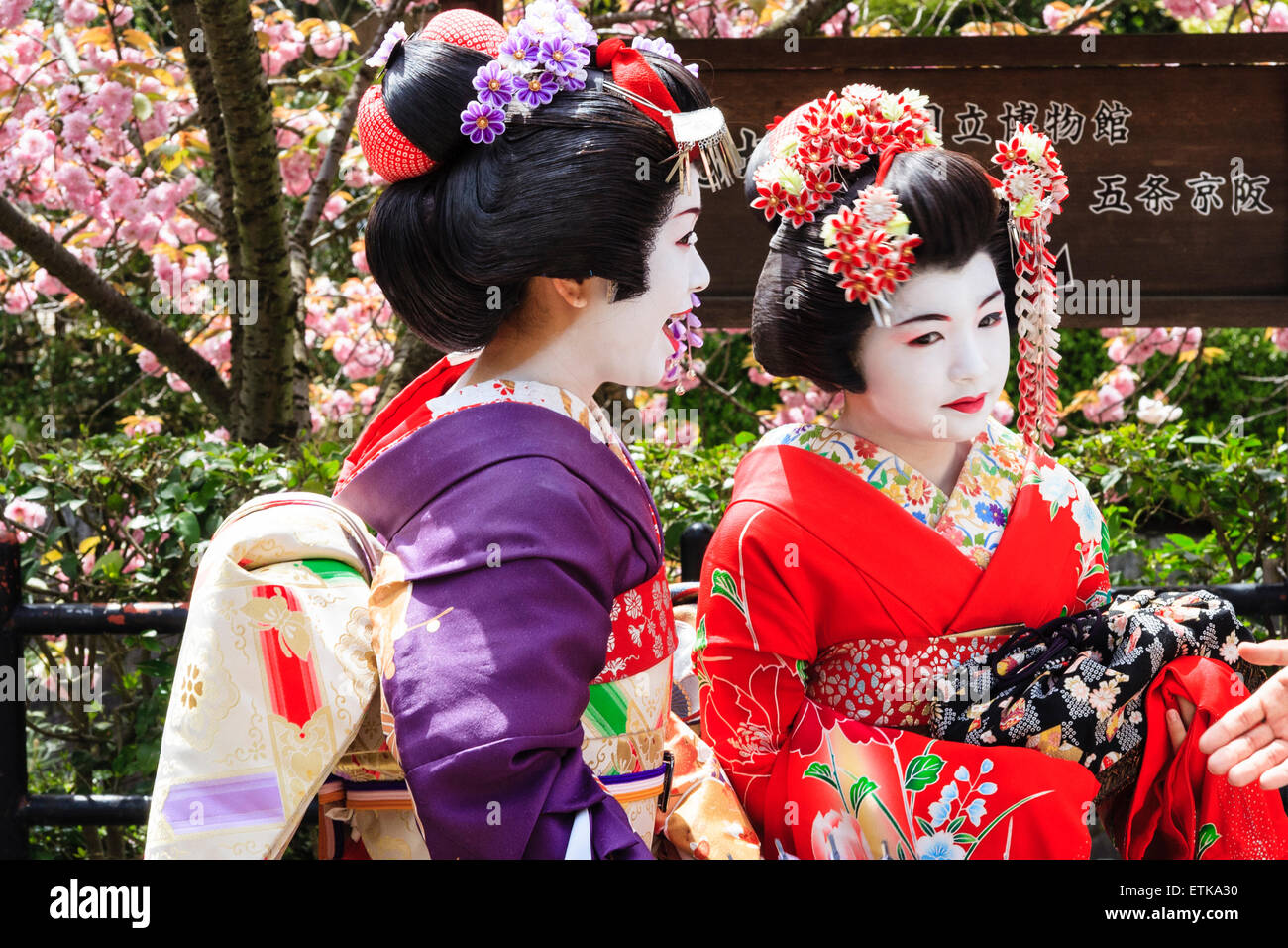 Close up of 2 Japanese geisha, geiko, walking past viewer, chatting to ...