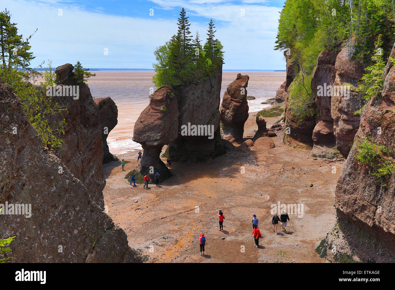 Bay of Fundy Hopewell Rocks beach at low tide with tourists walking beach, New Brunswick, Canada Stock Photo