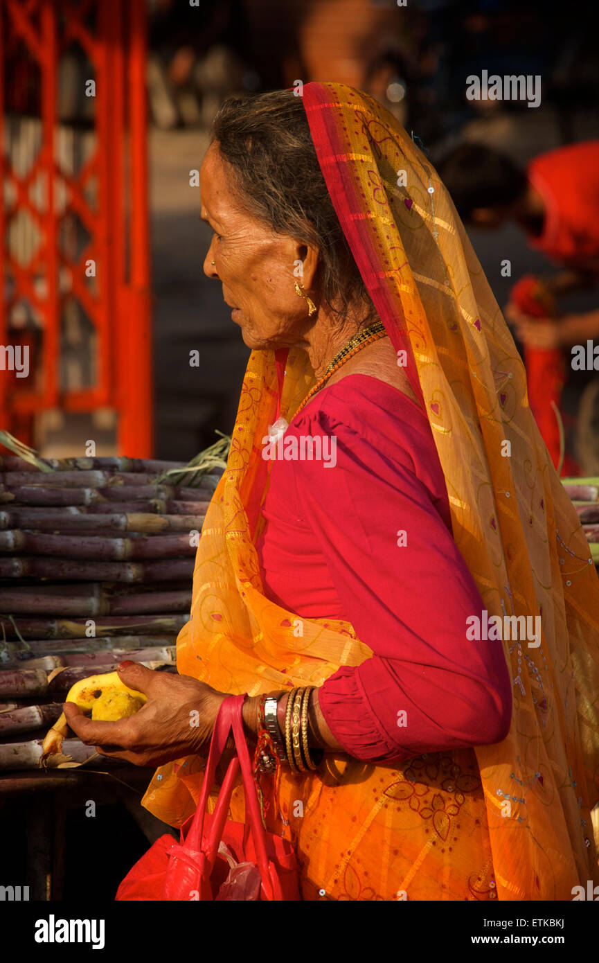 Indian woman wearing a colourful sari, Jaipur, Rajasthan, India Stock ...