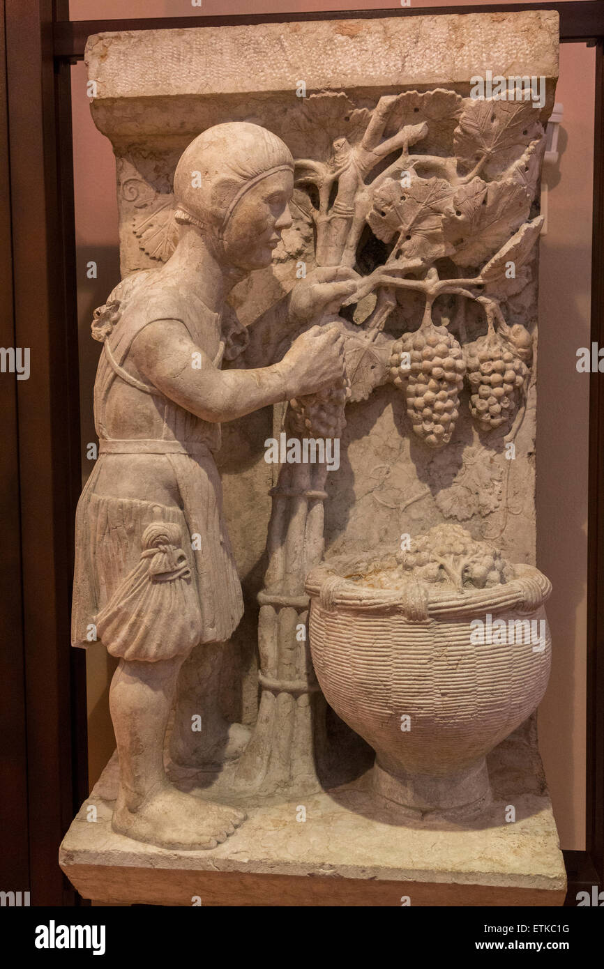 grape harvesting, September, from the cycle of the months, Ferrara Cathedral Museum, Ferrara, italy Stock Photo