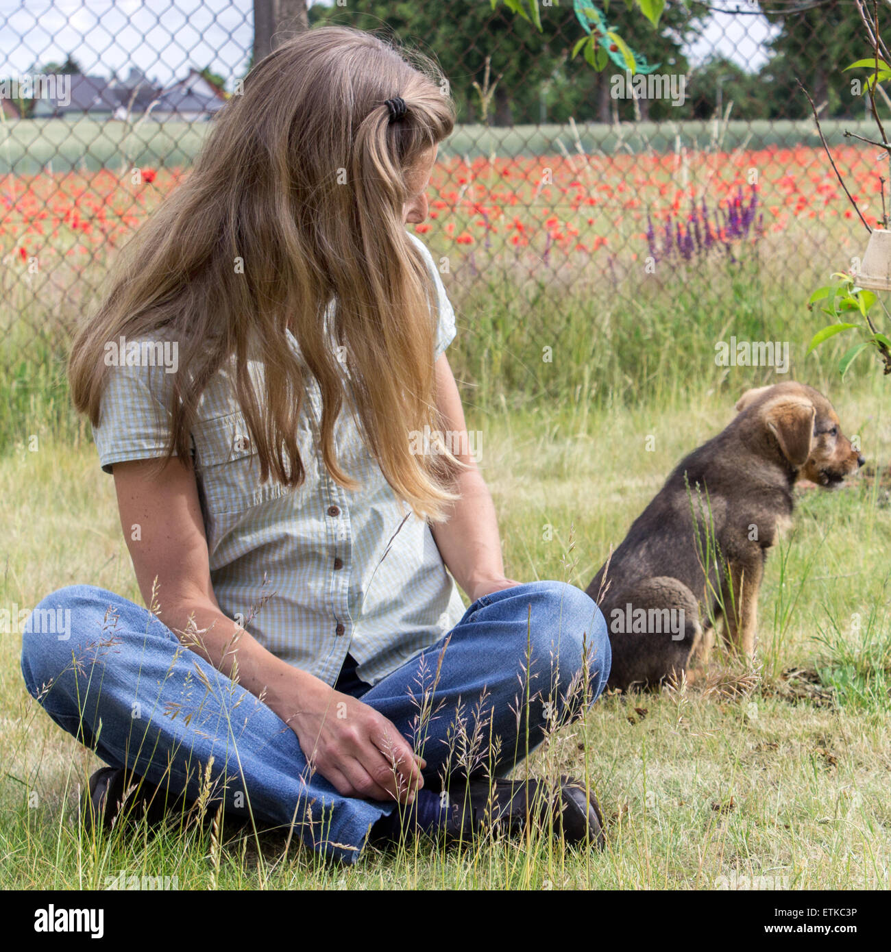 A young dog turns his back to his owner Stock Photo Alamy