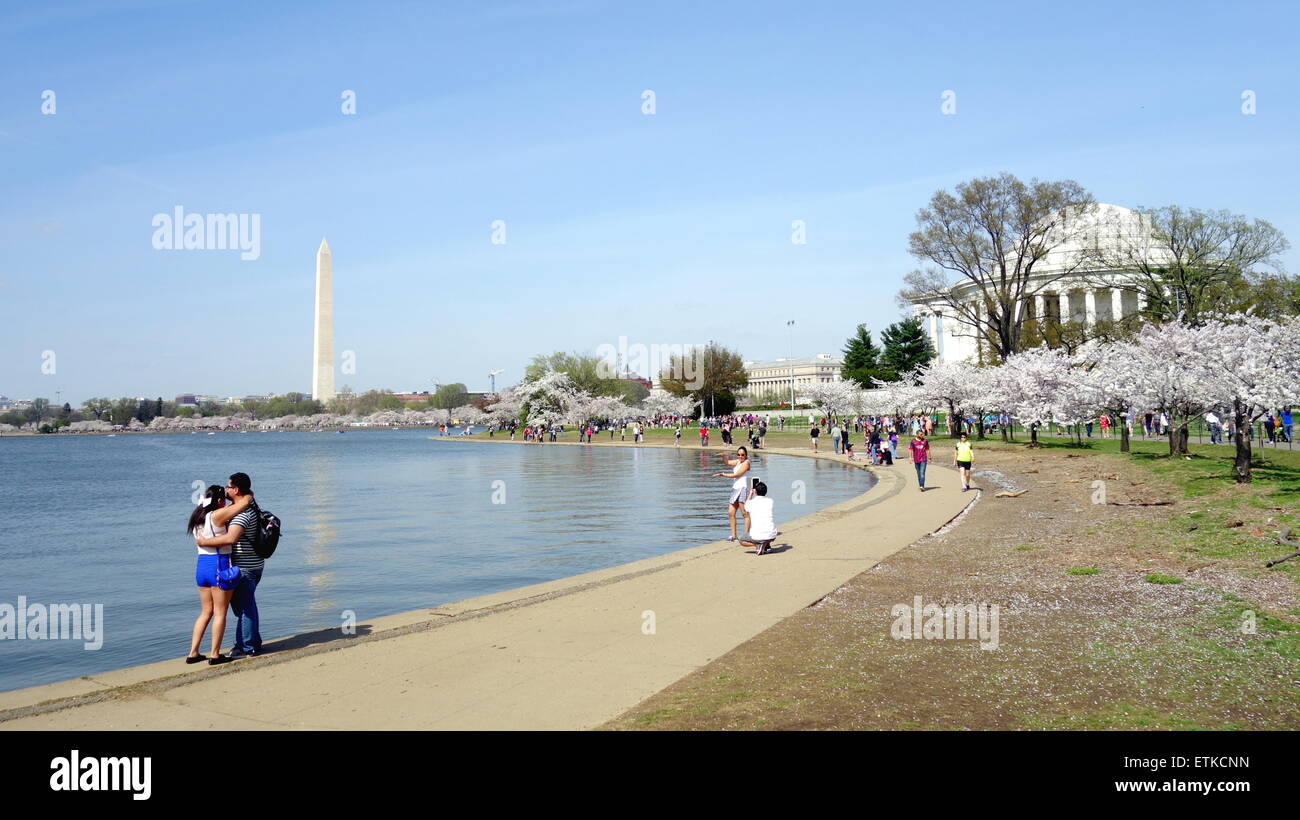Scene from the Tidal in Washington DC Stock Photo