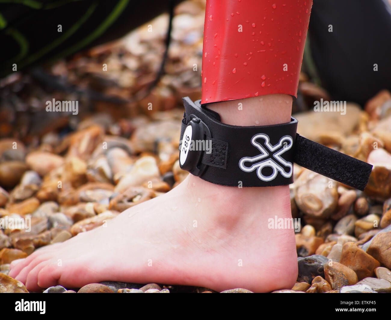 A sports timing chip on the ankle of a competitor taking part in a triathlon. Stock Photo