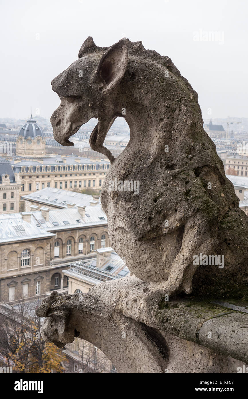 Gargoyle Of Notre Dame Cathedral Stock Photo Alamy