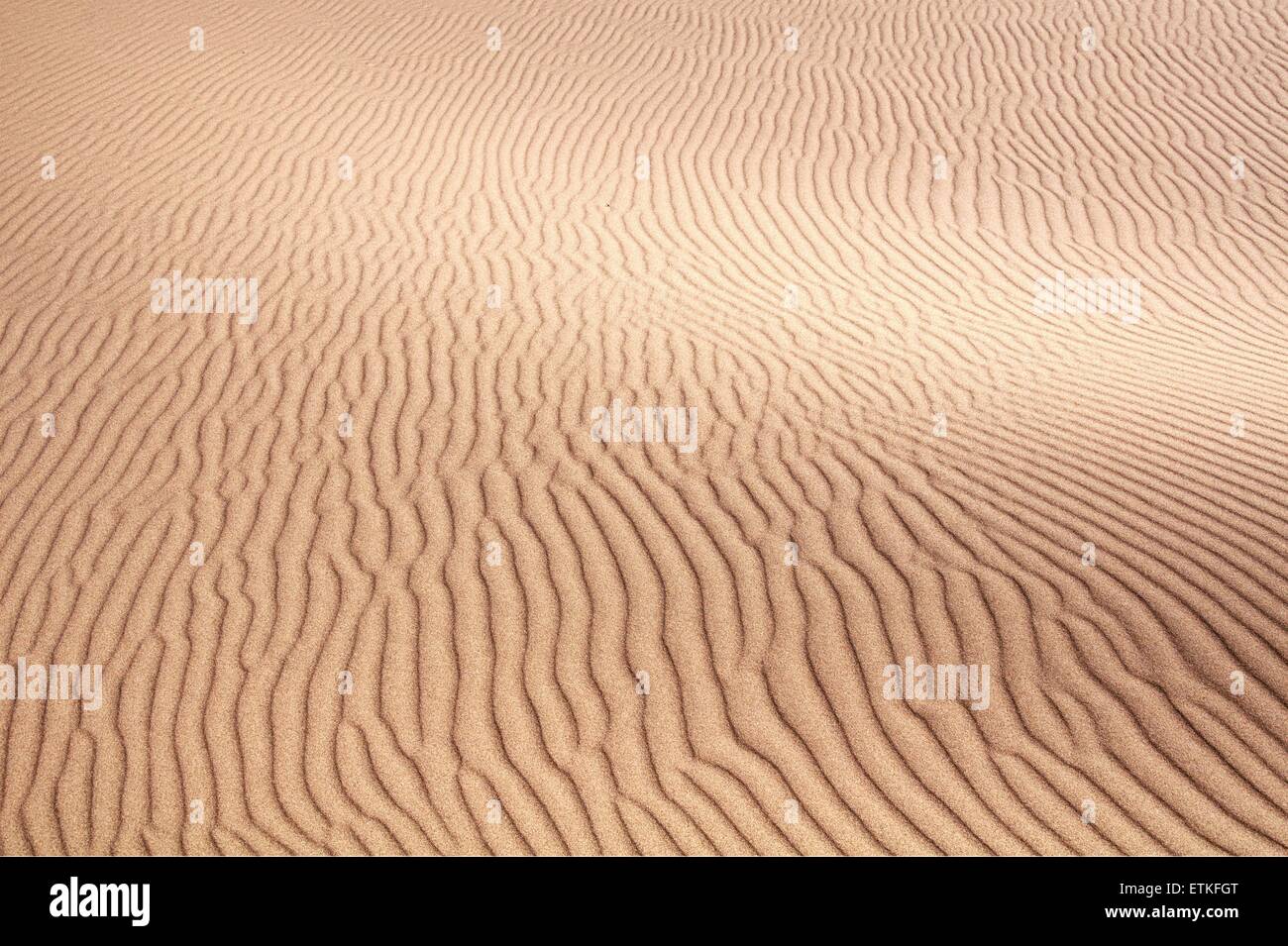 Sun and drifting sand at the Oregon Dunes National Recreation Area, north of Coos Bay, Oregon Stock Photo