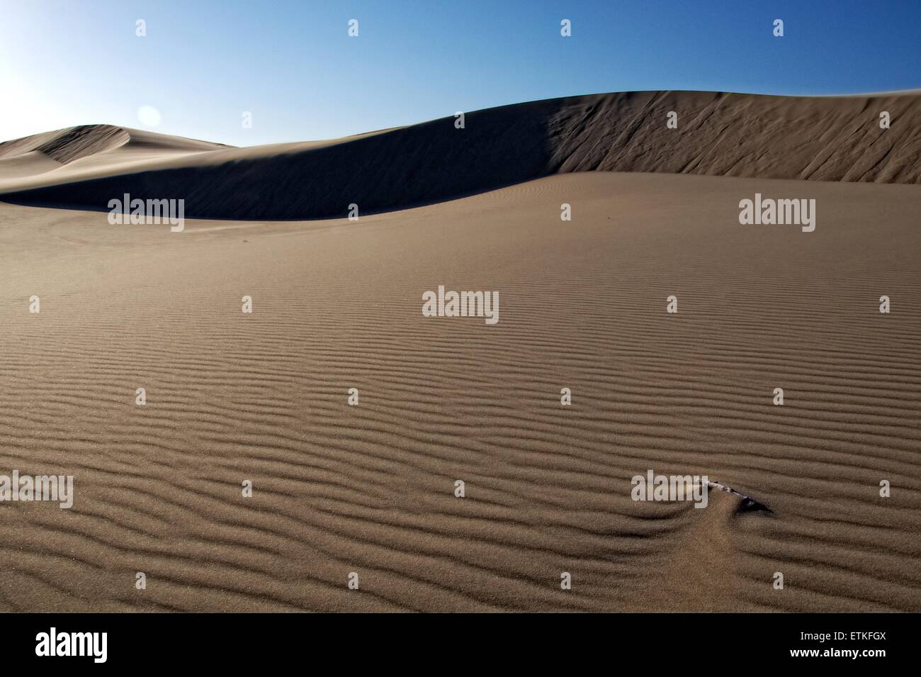 Sun and drifting sand at the Oregon Dunes National Recreation Area, north of Coos Bay, Oregon Stock Photo