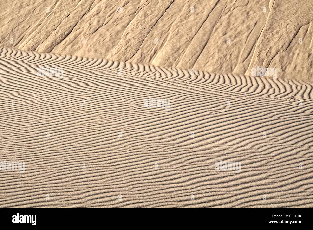 Sun and drifting sand at the Oregon Dunes National Recreation Area, north of Coos Bay, Oregon Stock Photo