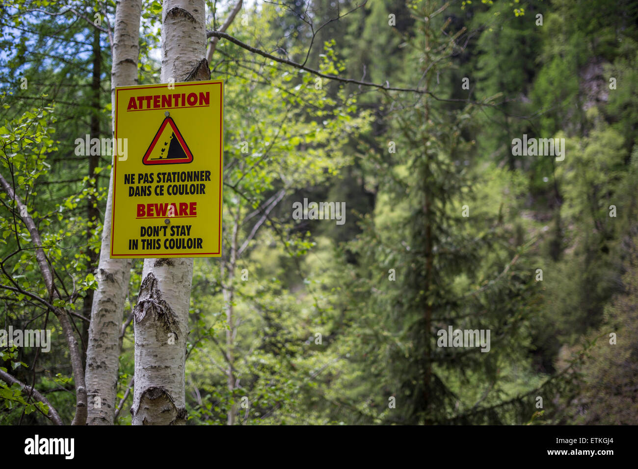 A yellow warning sign on a tree on a hiking trail in the French Alps in French and English. "Beware Don't Stay in This Couloir Stock Photo