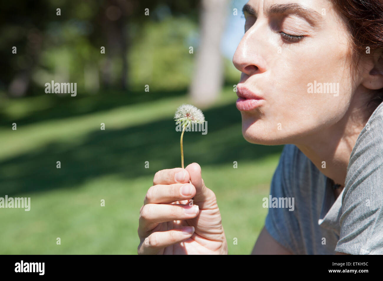 make a wish dandelion shirt