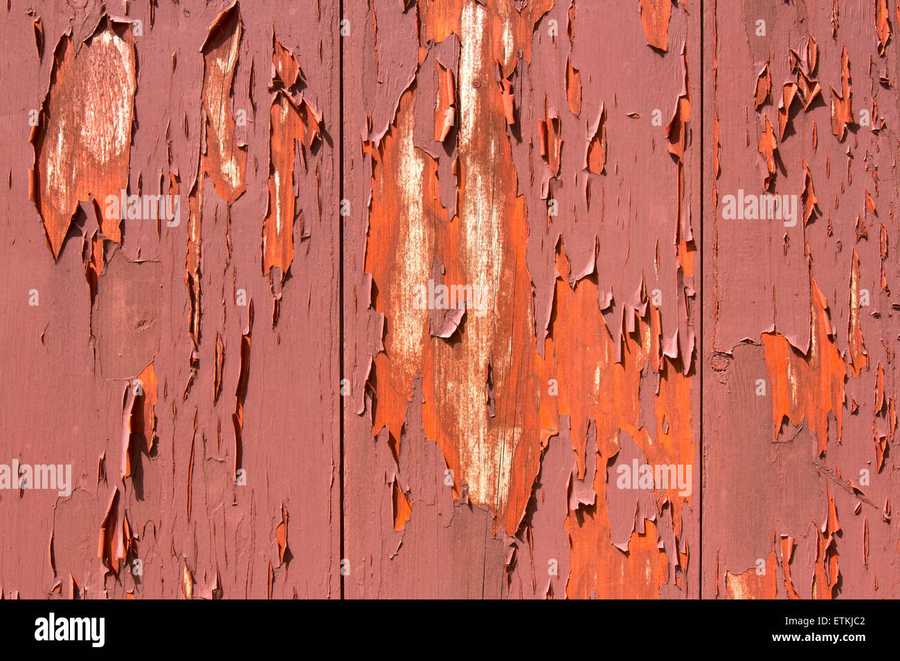 Red paint peeling off wooden panels. Stock Photo
