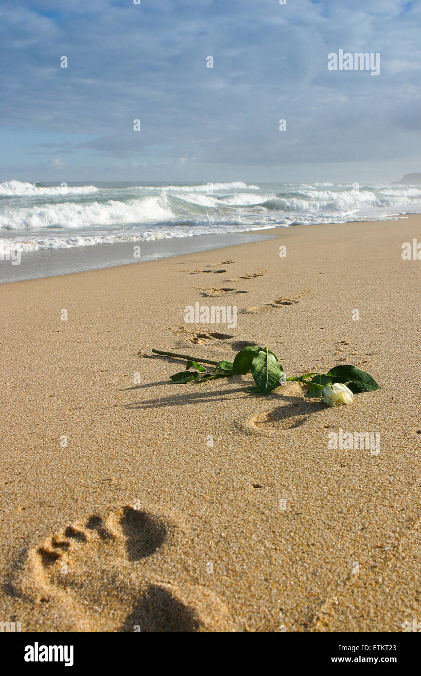 White rose and footprints in the sand on a deserted beach in Portugal ...