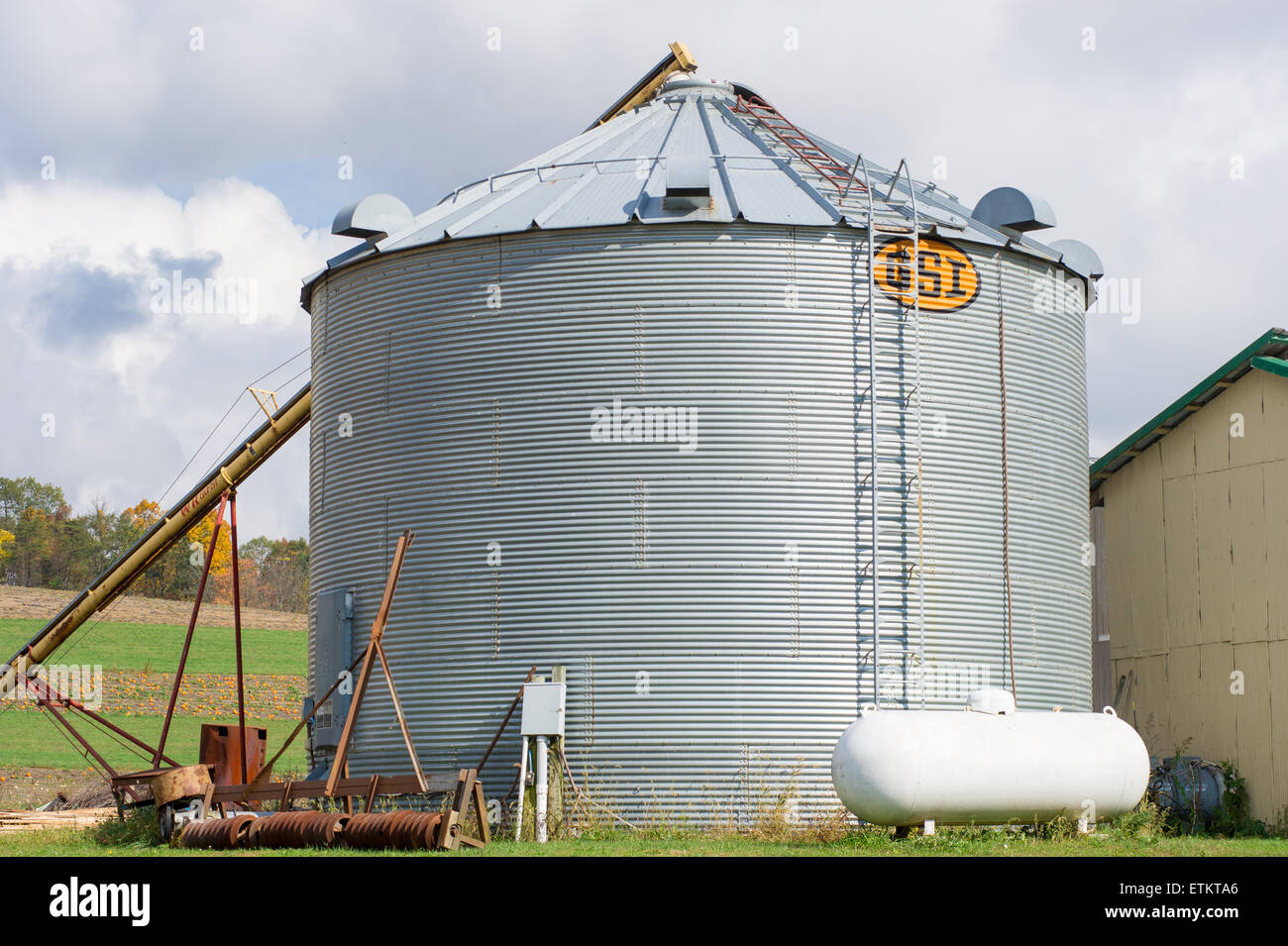 Steel grain silo in Millerstown, Pennsylvania, USA Stock Photo