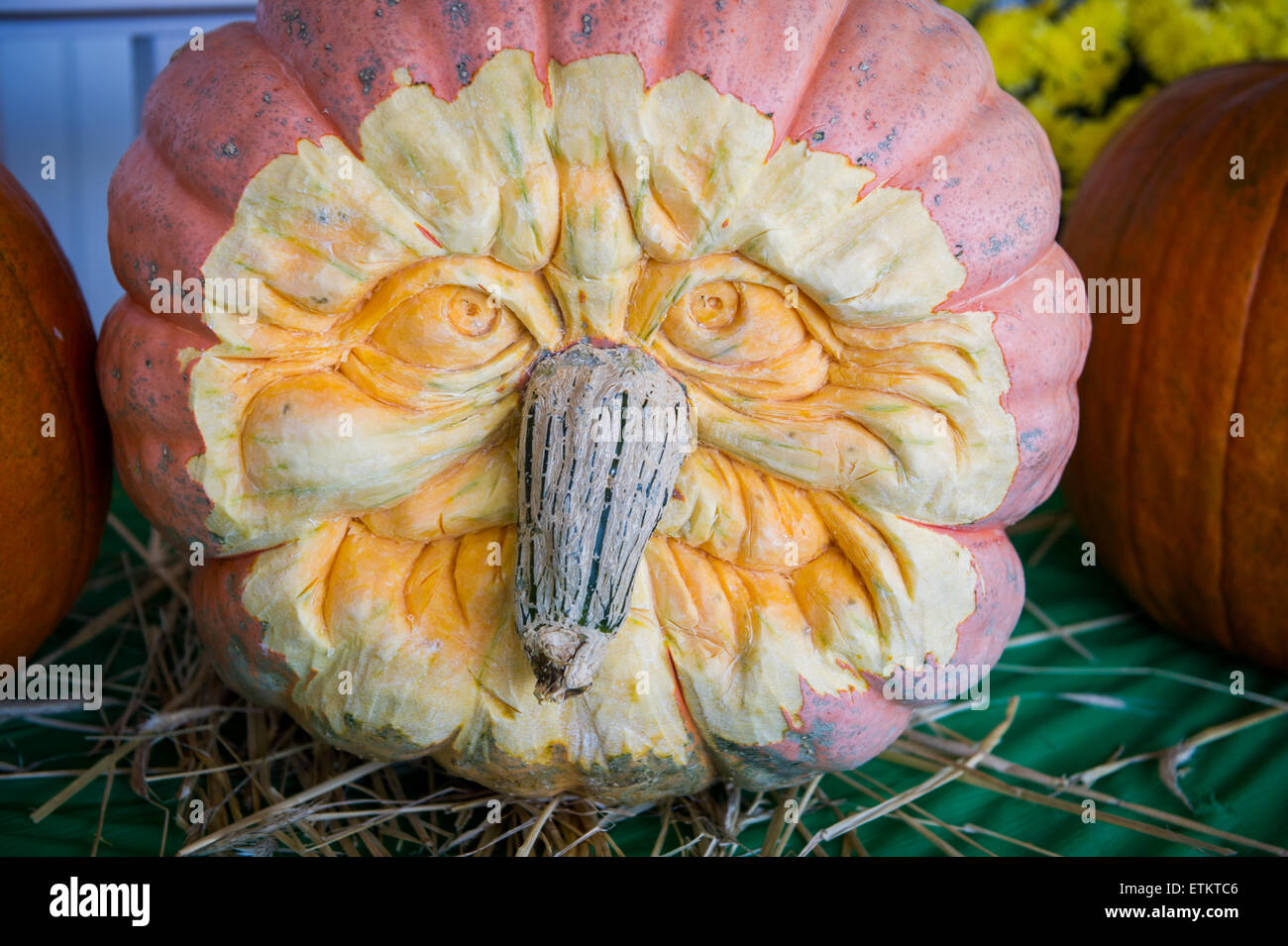 Carved pumpkin face with the stem as the nose in Wexford, Pennsylvania