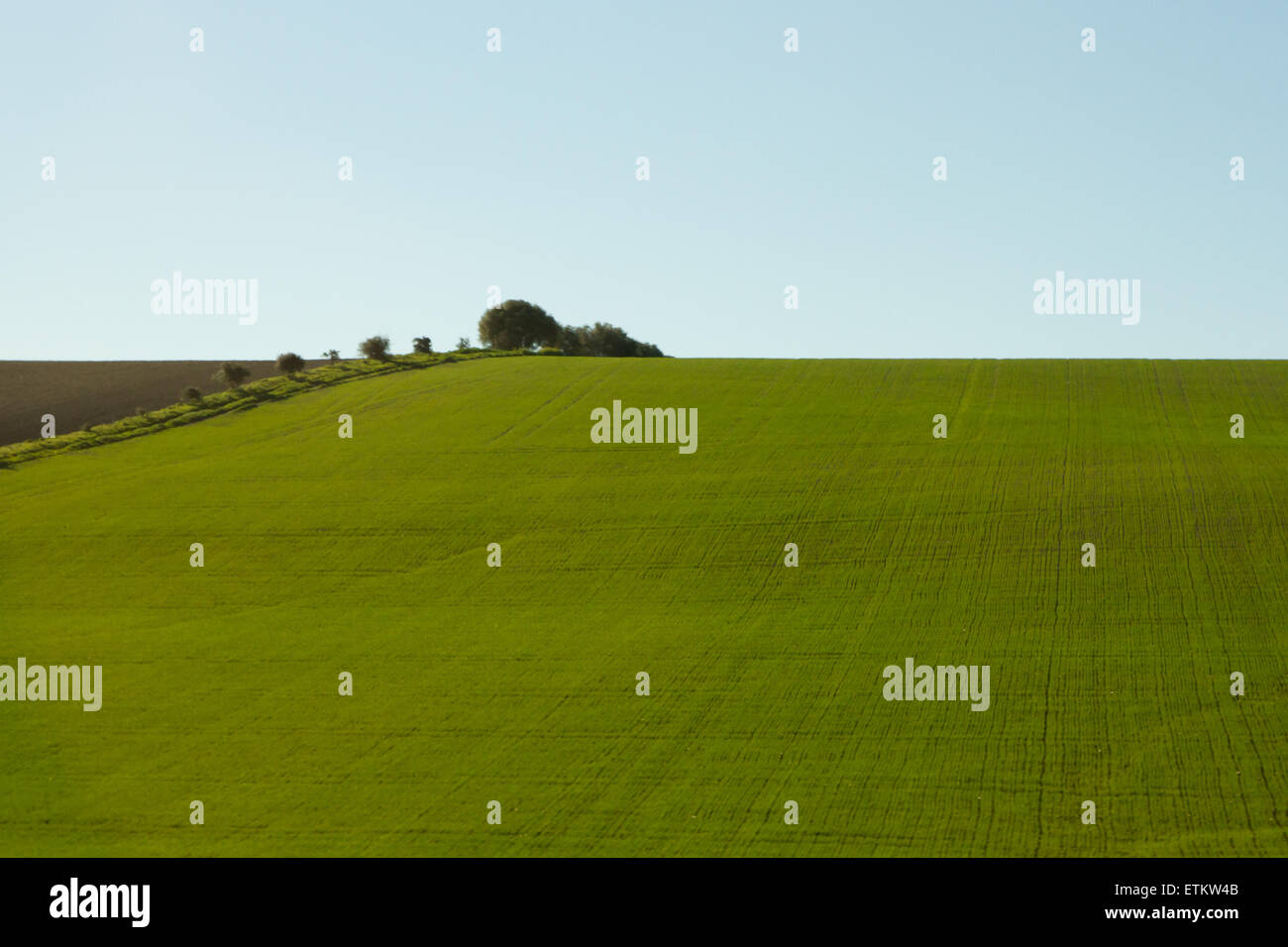 A beautiful field landscape in Andalusia, Spain Stock Photo - Alamy