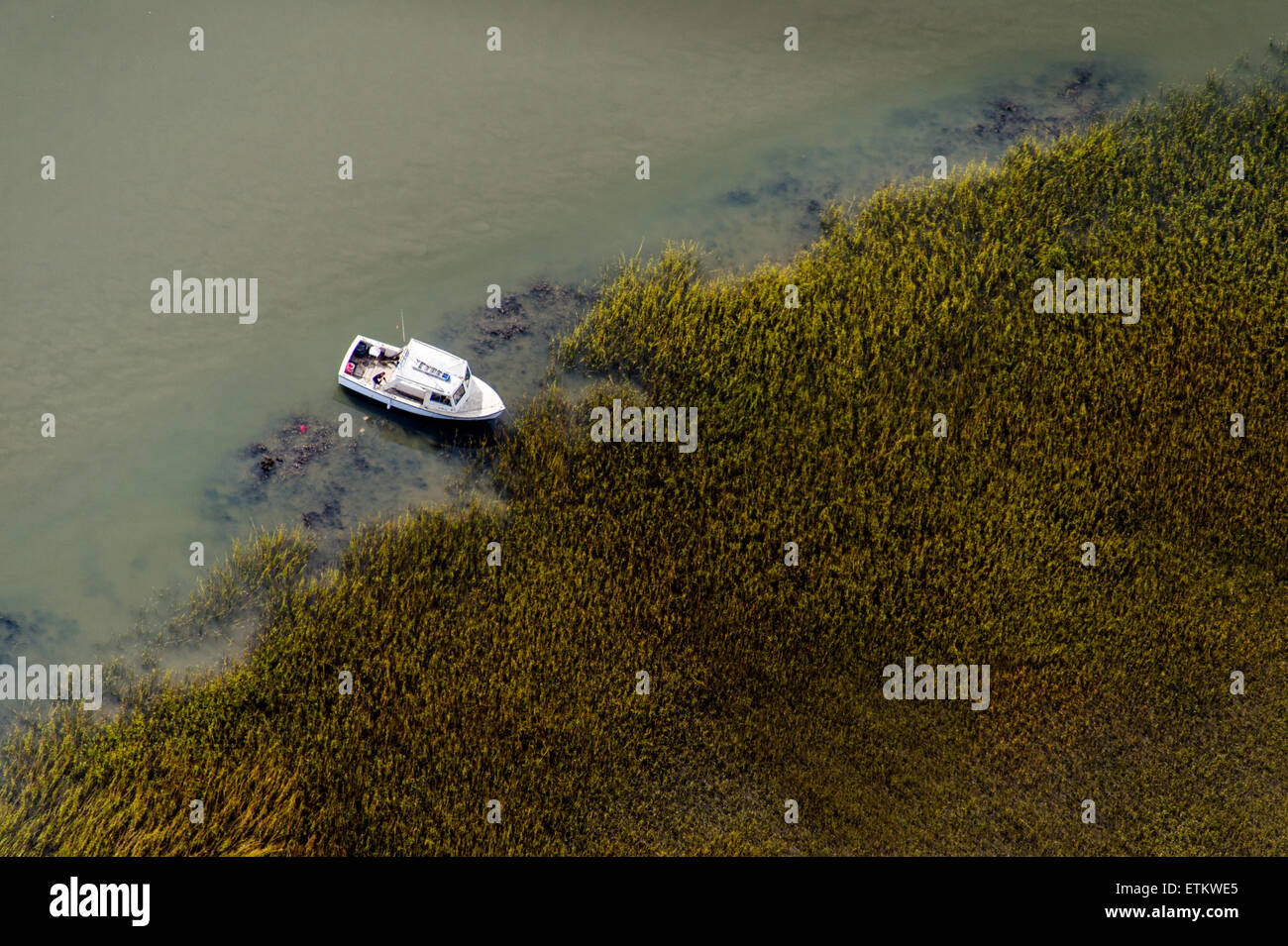 Aerial of small white boat parked near marshy vegetation in Georgia, USA Stock Photo