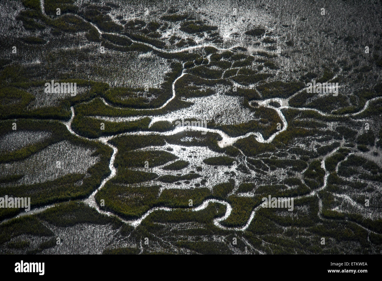Aerial of river landscape over Georgia, USA Stock Photo - Alamy