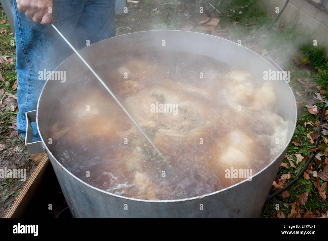 Boiling stuffed hams in St Mary's County Maryland, USA Stock Photo