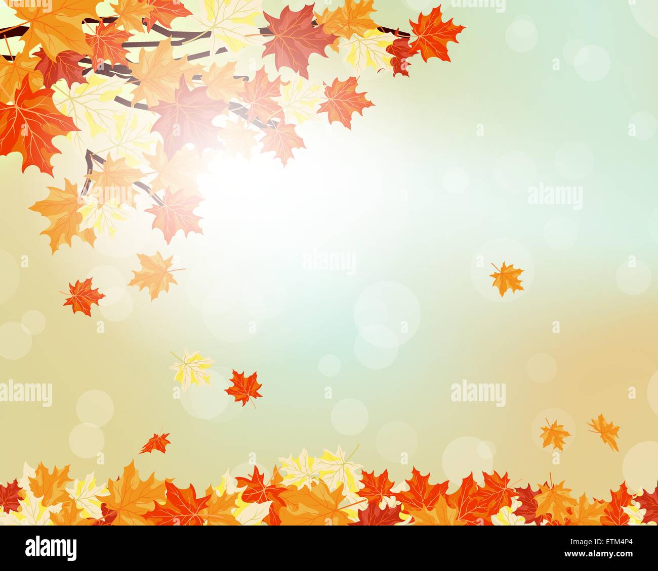 Autumn maple leaves background. Vector illustration with transparency ...