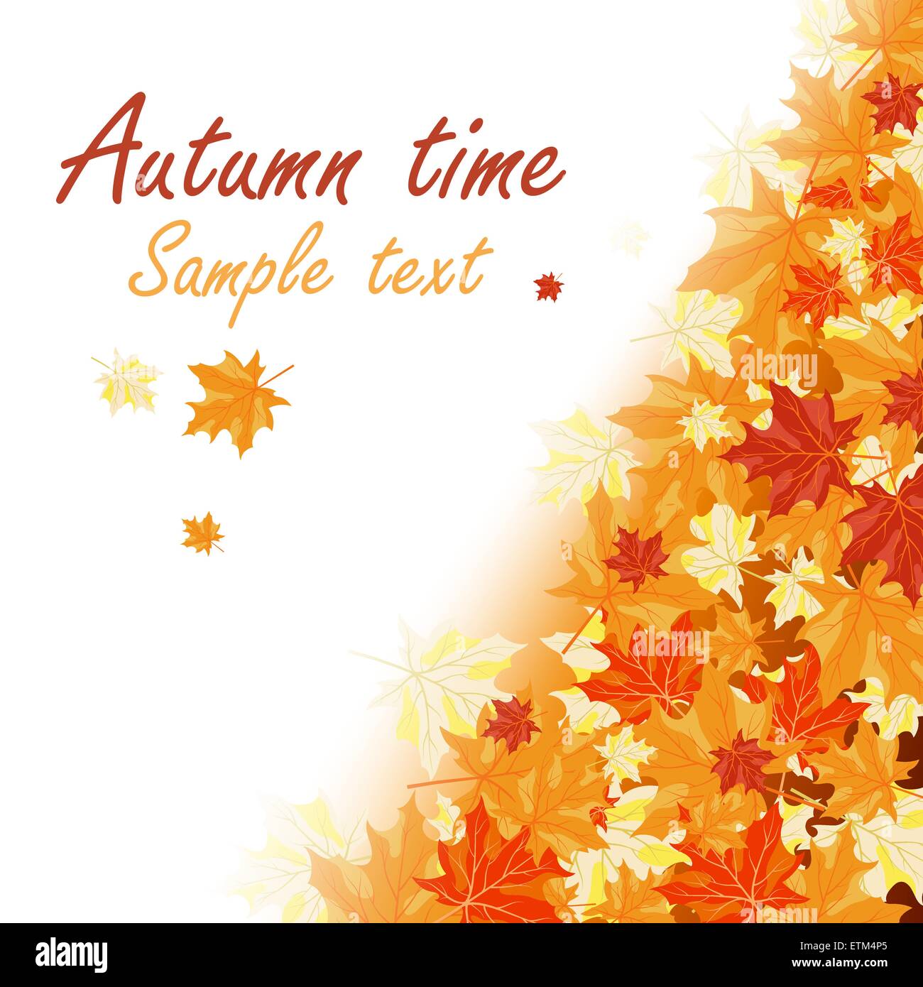 Autumn maple leaves background. Vector illustration with transparency ...